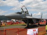 28_Mig 29 .JPG